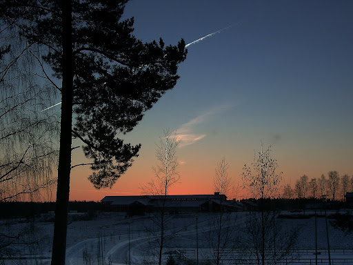 picture